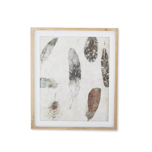 Feather Framed Print