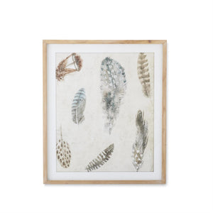 Feather Framed Print