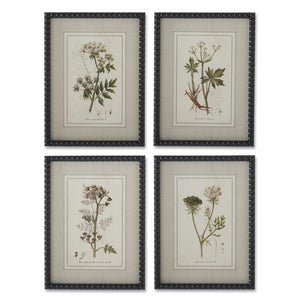 Black Bead Frame Botanical Print