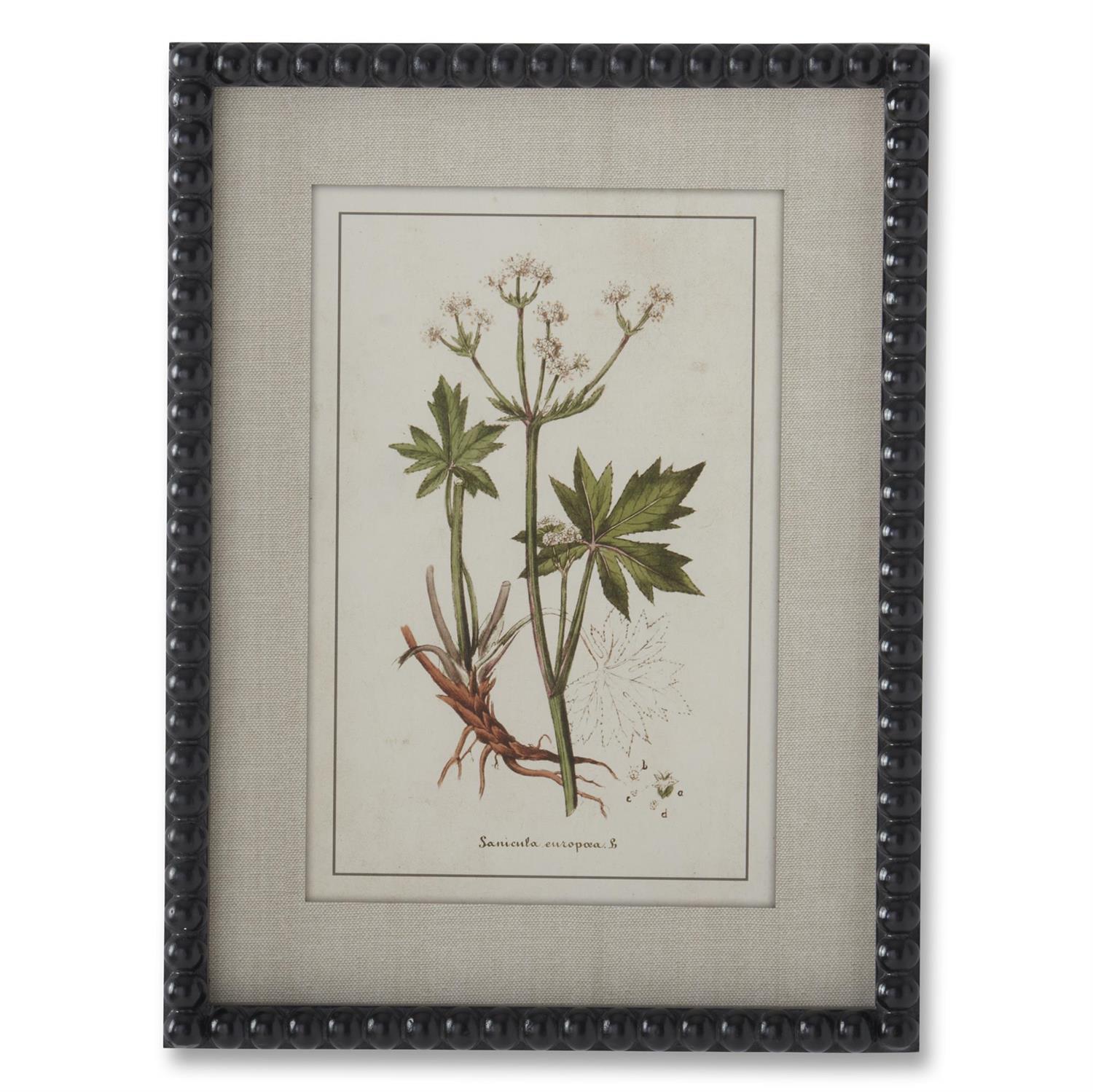 Black Bead Frame Botanical Print