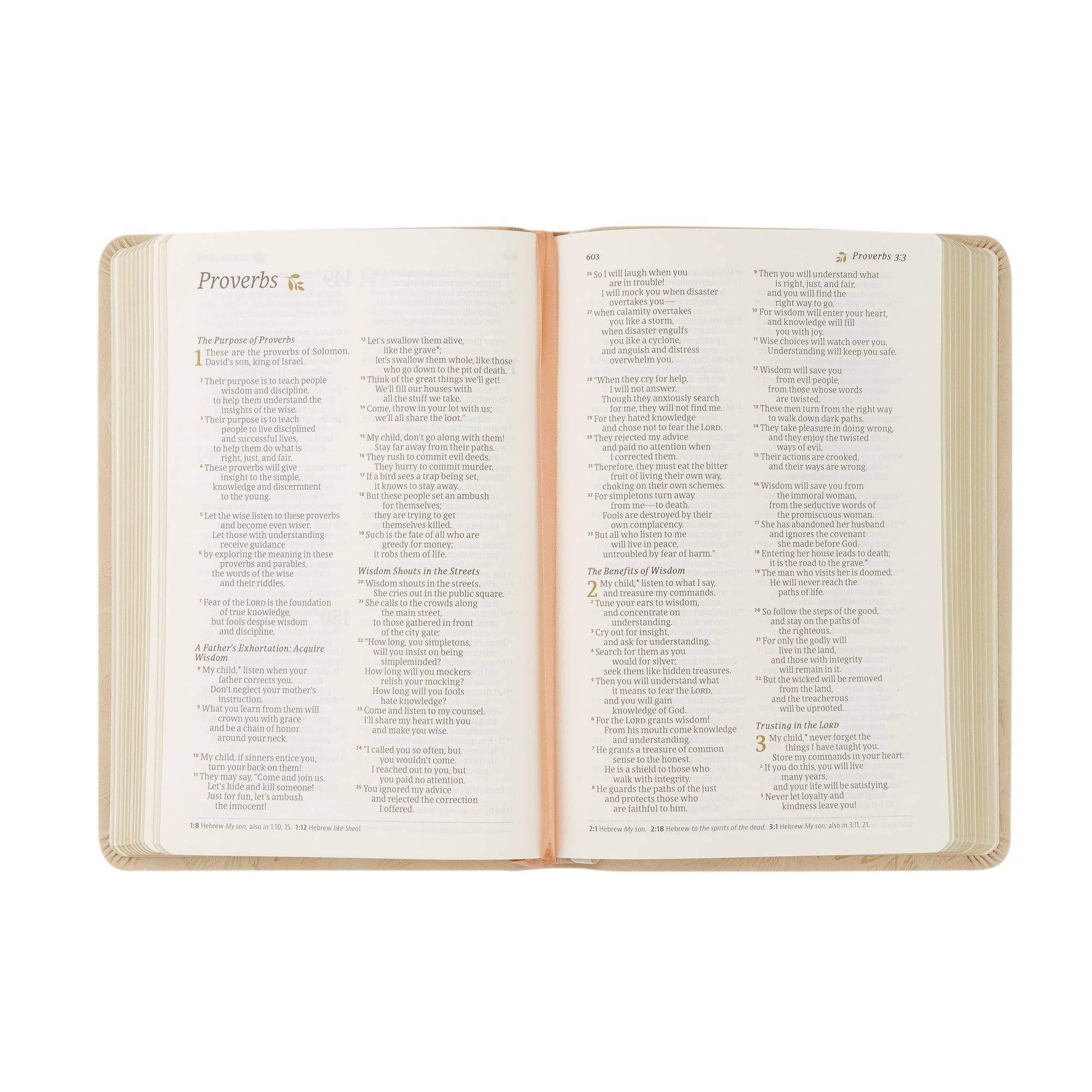 NLT Compact Bible - Sonora Theme