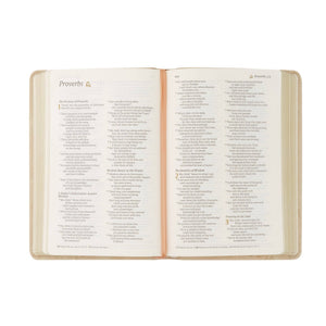 NLT Compact Bible - Sonora Theme