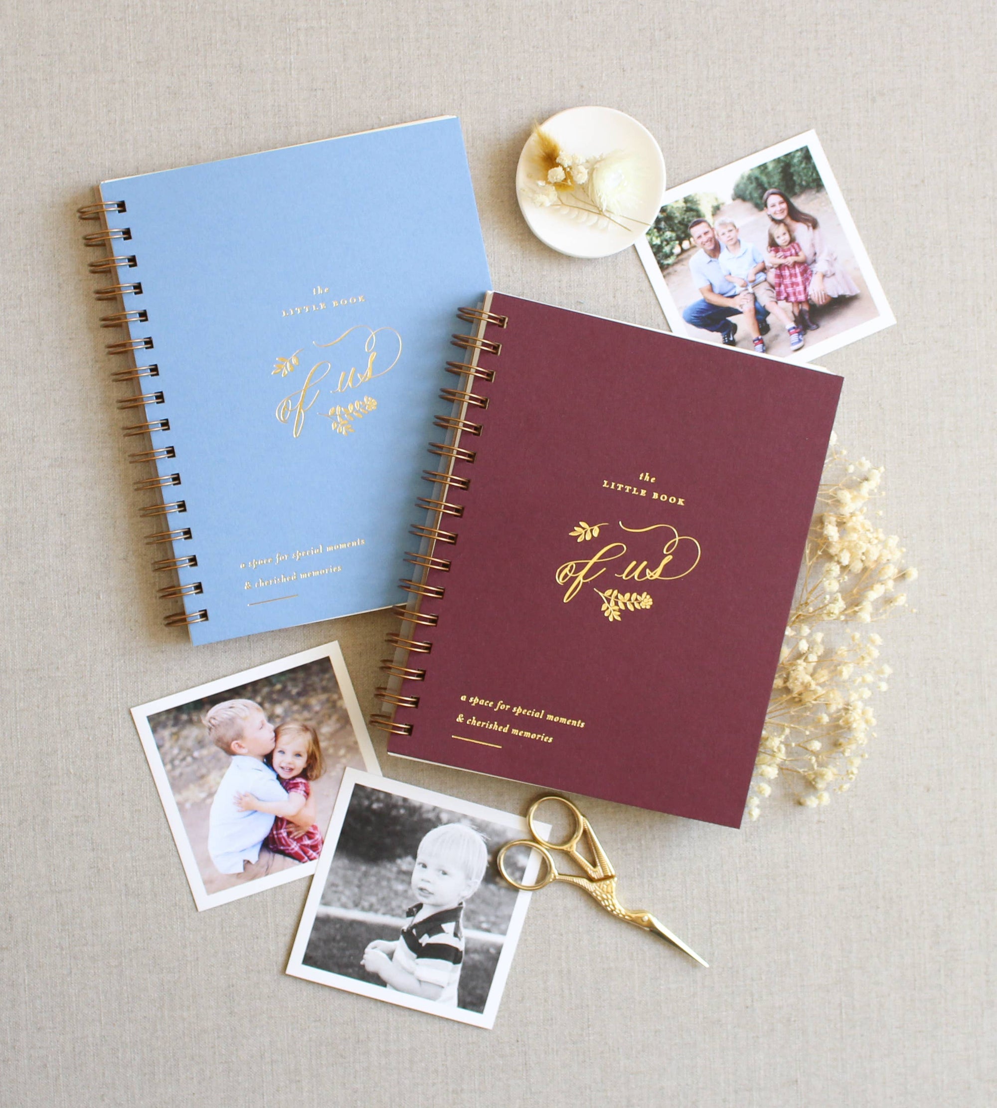 The Little Book of Us Family Memory Journal