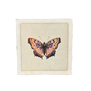 Pink Butterfly Print