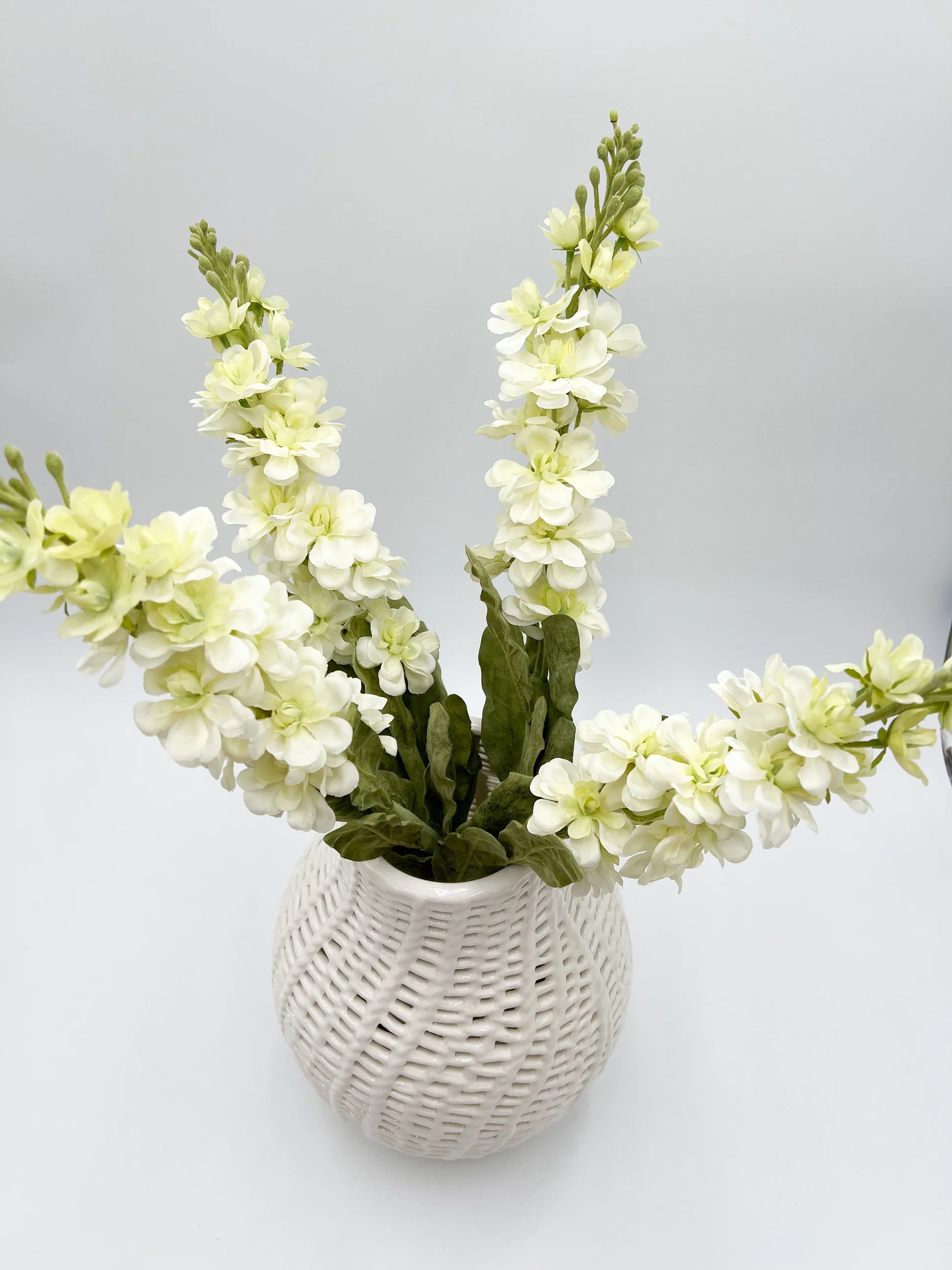 White Stock Flower Stem