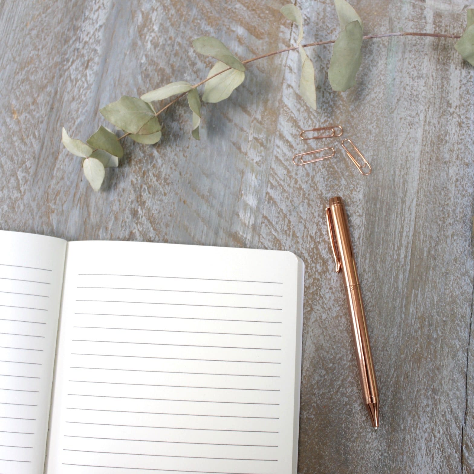 Hydrangea Lined Notebook