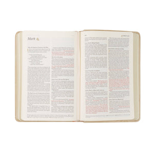 NLT Compact Bible - Sonora Theme