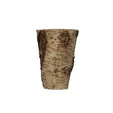 Birch Bark Container