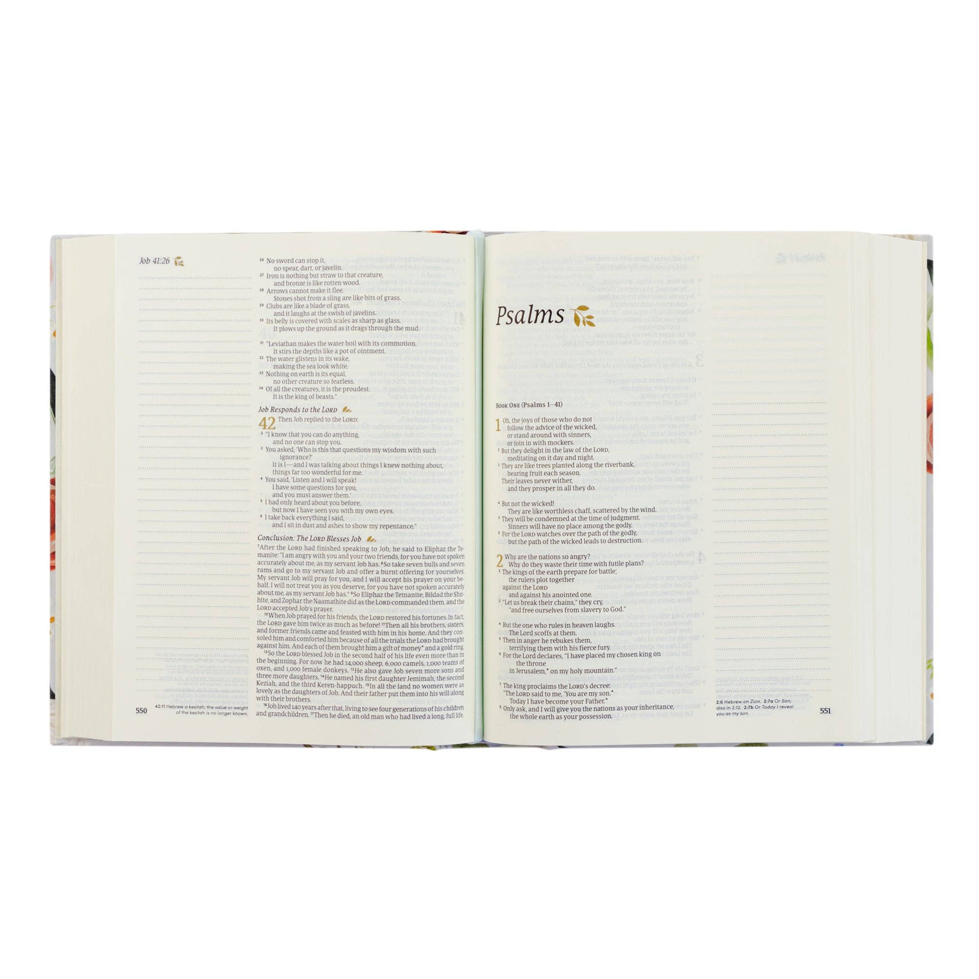 NLT Notetaking Bible - Loveland Theme