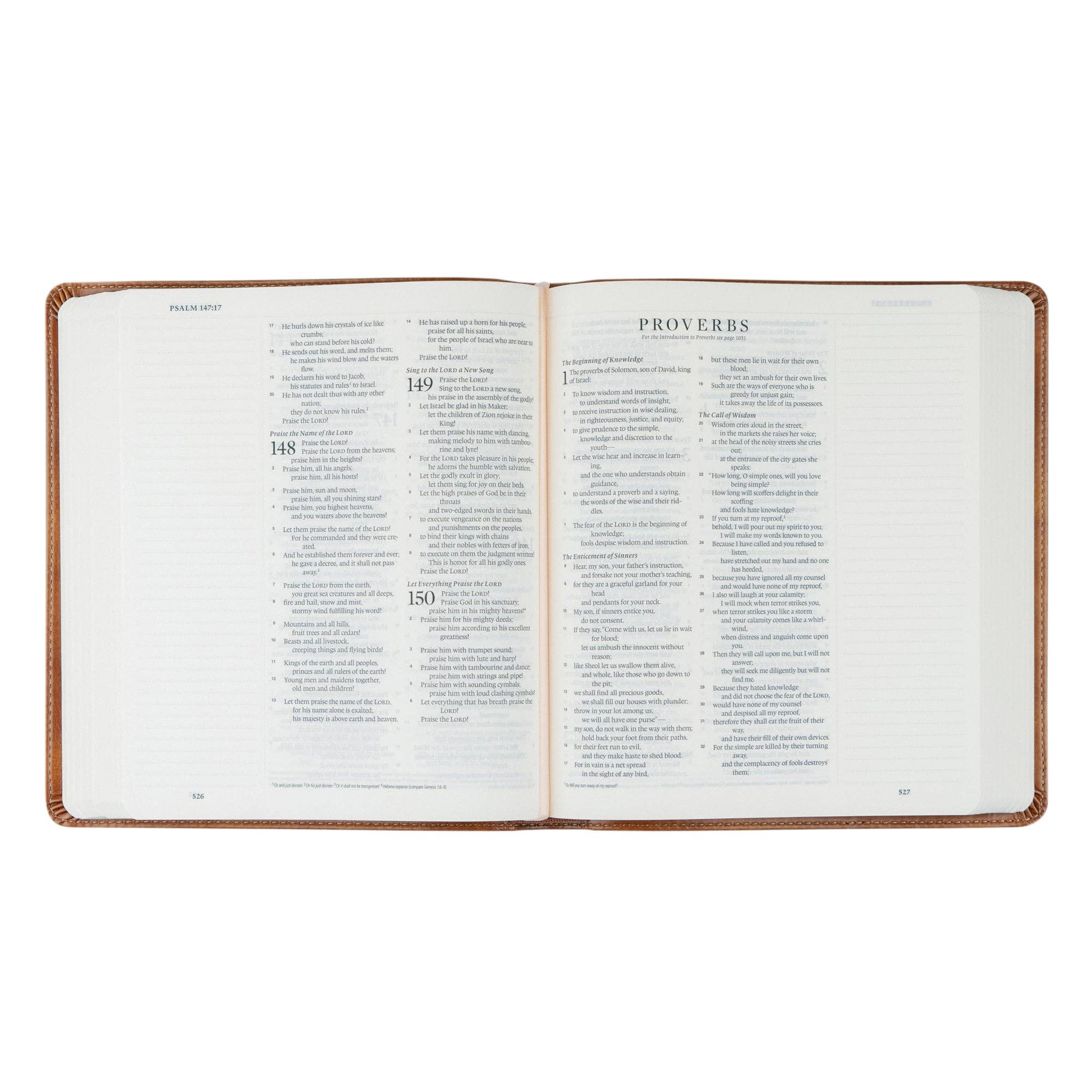 Sierra Theme Bible