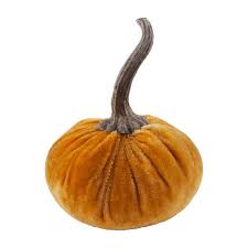 Velvet Pumpkin