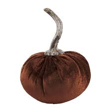 Velvet Pumpkin