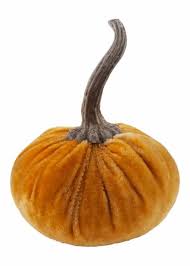 Velvet Pumpkin